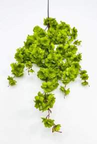 Сакура "Ветка Ханами" зеленая