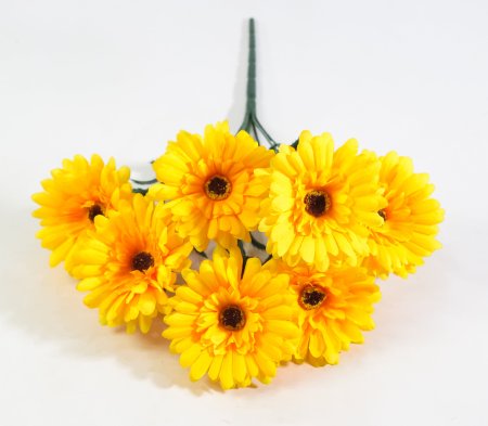 Букет гербер "Фестиваль" 7 цветков