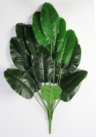 картинка Ветка банана 18 листов от магазина KALINA