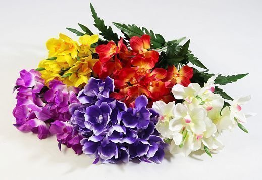 Орхидея "Велес" 21 цветок от магазина KALINA являющийся официальным дистрибьютором в России 
