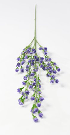 Ветка декоративная Фиоретти