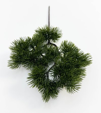 картинка Сосна бонсай темный от магазина KALINA