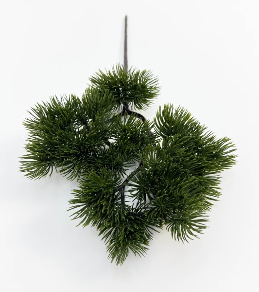 картинка Сосна бонсай темный от магазина KALINA