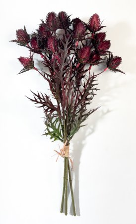 Эрингиум бордо