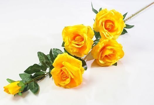 Роза "Звездочет" 4 цветка 1 бутон от магазина KALINA являющийся официальным дистрибьютором в России 