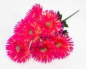 Астра "Дуняша большая" 7 цветков