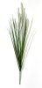 картинка Пеннисетум (Лисий хвост) 90 см 7 веток от магазина KALINA