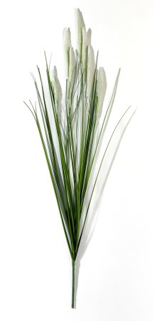 картинка Пеннисетум (Лисий хвост) 90 см 7 веток от магазина KALINA