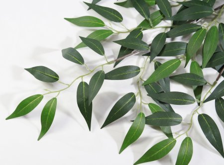 картинка Ветка декоративной оливы от магазина KALINA