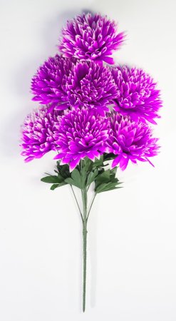 Букет хризантемы "Талисман" 7 цветков