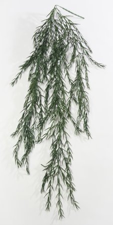 картинка Розмарин "Лето" от магазина KALINA