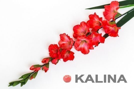 Ветка гладиолуса 9 цветков 8 бутонов от магазина KALINA являющийся официальным дистрибьютором в России 