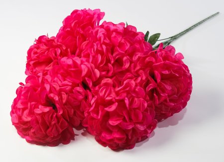 Букет шафрана "Великан" 7 цветков