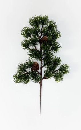 картинка Бонсай с шишками от магазина KALINA