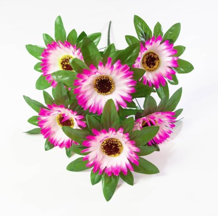 Астра "Титаник" 7 веток