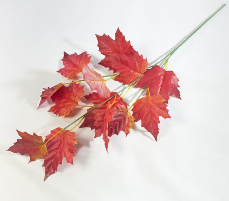 картинка Ветка клена с красным листом от магазина KALINA