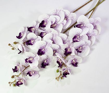 Ветка орхидеи 15 от магазина KALINA являющийся официальным дистрибьютором в России 