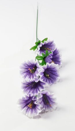 Ветка петунии