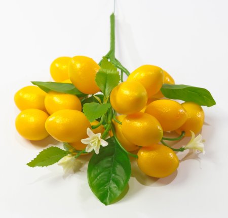 Веточка лимона