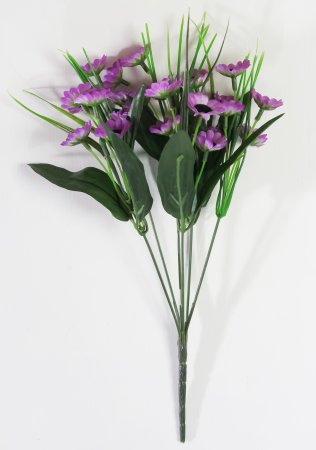 Ромашка "Эллиот" 24 цветка