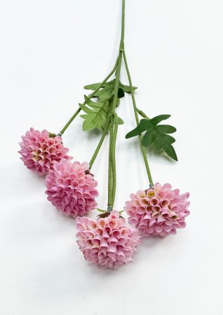 Георгин помпонный розовый