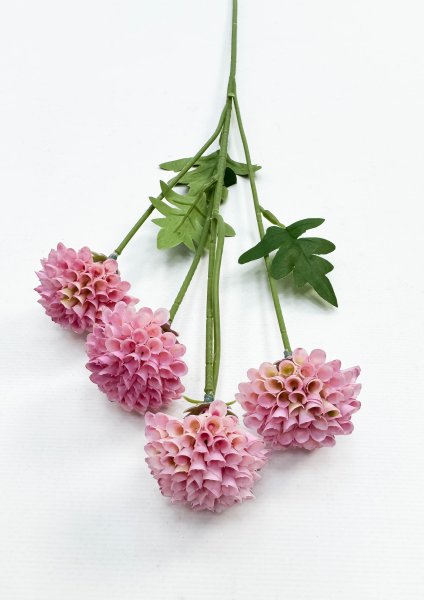 Георгин помпонный розовый