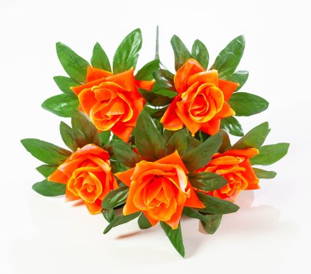 7f6aa00d63802e5dfe6fc0ea43f1c2b1