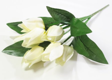 Тюльпан "Синичка" 7 цветков