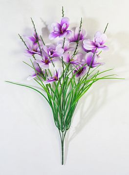 Орхидея "Ветерок малый" 14 цветков от магазина KALINA являющийся официальным дистрибьютором в России 
