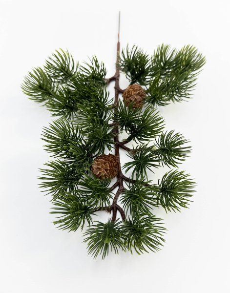 картинка Бонсай с шишками от магазина KALINA