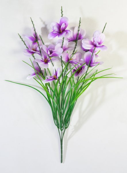 Орхидея "Ветерок малый" 14 цветков