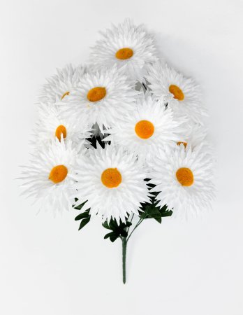 Ромашка "Белоцветик" большая 13 цветков