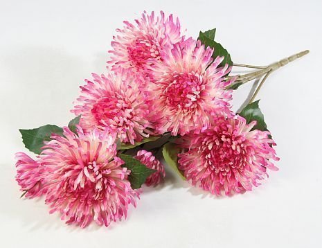 Ветка хризантем "Зембла" 5 цветков 2 бутона от магазина KALINA являющийся официальным дистрибьютором в России 