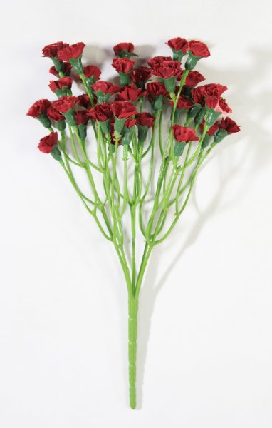 Букет гвоздик "Лель" бордо