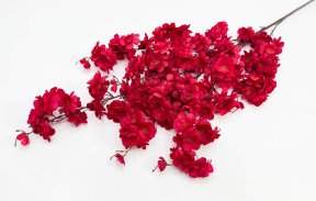 Сакура "Ветка Ханами" красная