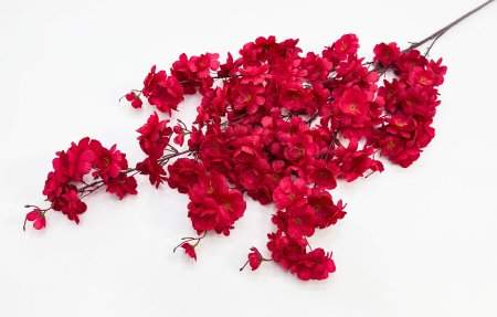 Сакура "Ветка Ханами" красная