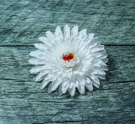 Насадка георгина