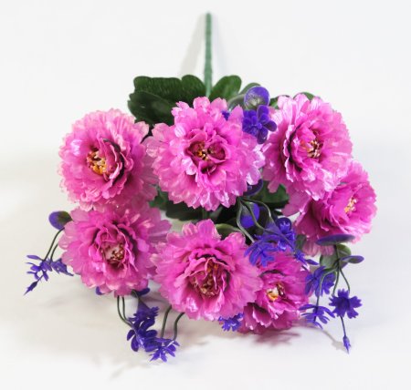 Букет цинний "Чародейка" 7 цветков