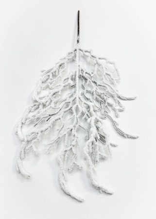 Ветка в снегу "Изморось"