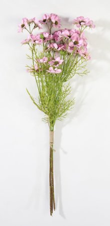 Букет мелкой розовой космеи (3 ветки)