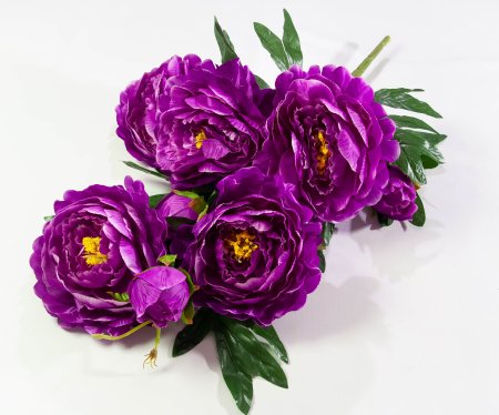 cfef50e566ffbef4d12e8c341a19a590