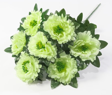 Букет пионов "Принцесса" 7 цветков