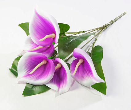Букет калл "Юбилейный" 5 цветков от магазина KALINA являющийся официальным дистрибьютором в России 