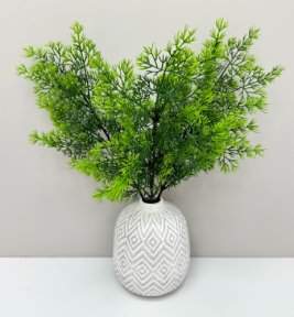 Туя "Летняя пора"