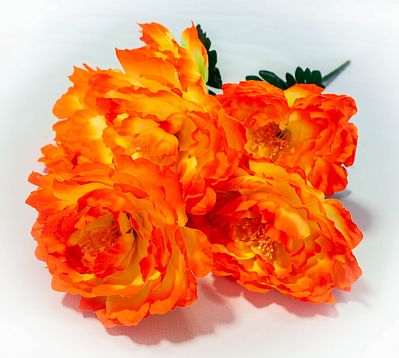 Букет пиона " Муза" 6 веток 6 цветков от магазина KALINA являющийся официальным дистрибьютором в России 