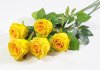 Роза с латексным покрытием крупная желтая