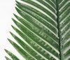 картинка Лист пальмы матовый 4 от магазина KALINA
