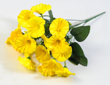 Букет петунии 18 цветков