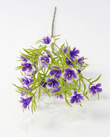 Ветка с лилиями