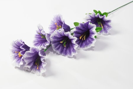 Ветка петунии